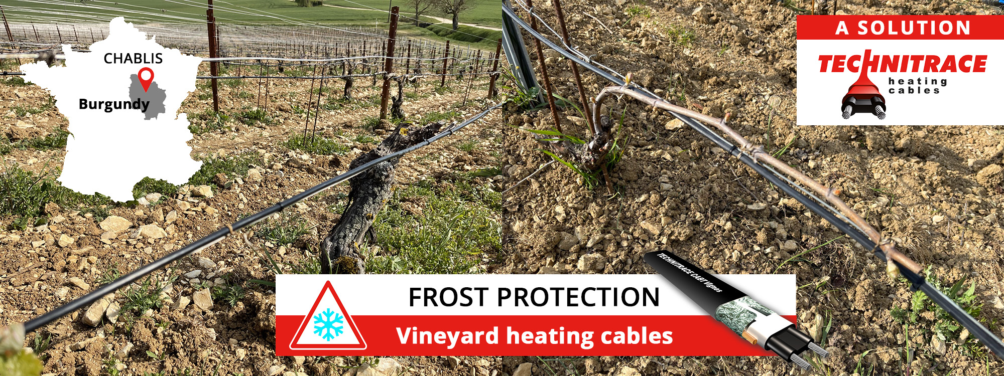 Vineyard frost protection – heating cables – Chablis Burgundy France – TECHNITRACE